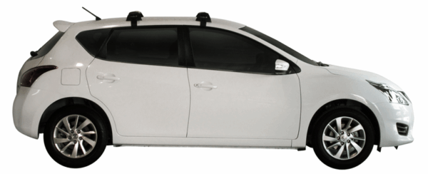 Yakima K699Y-S16YB Through Bar - Black