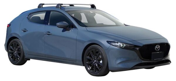 Yakima K765-S25Y Flush End Bar Silver