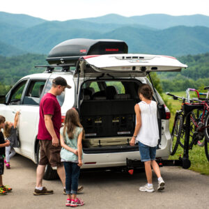 Yakima FullSwing - Image 4